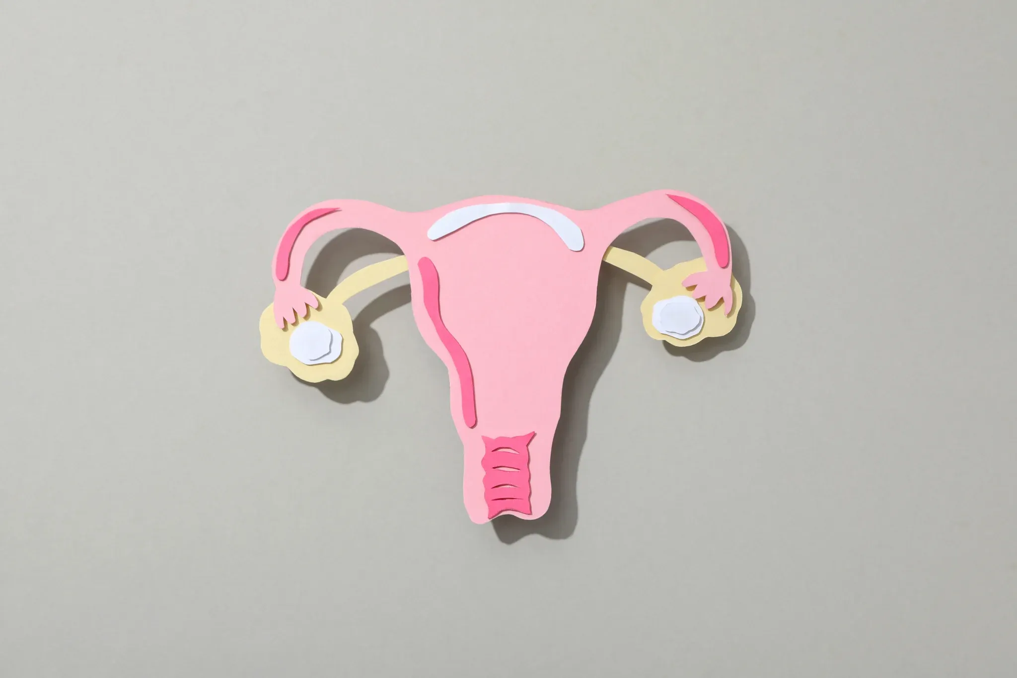 Sve što trebate znati o menopauzi